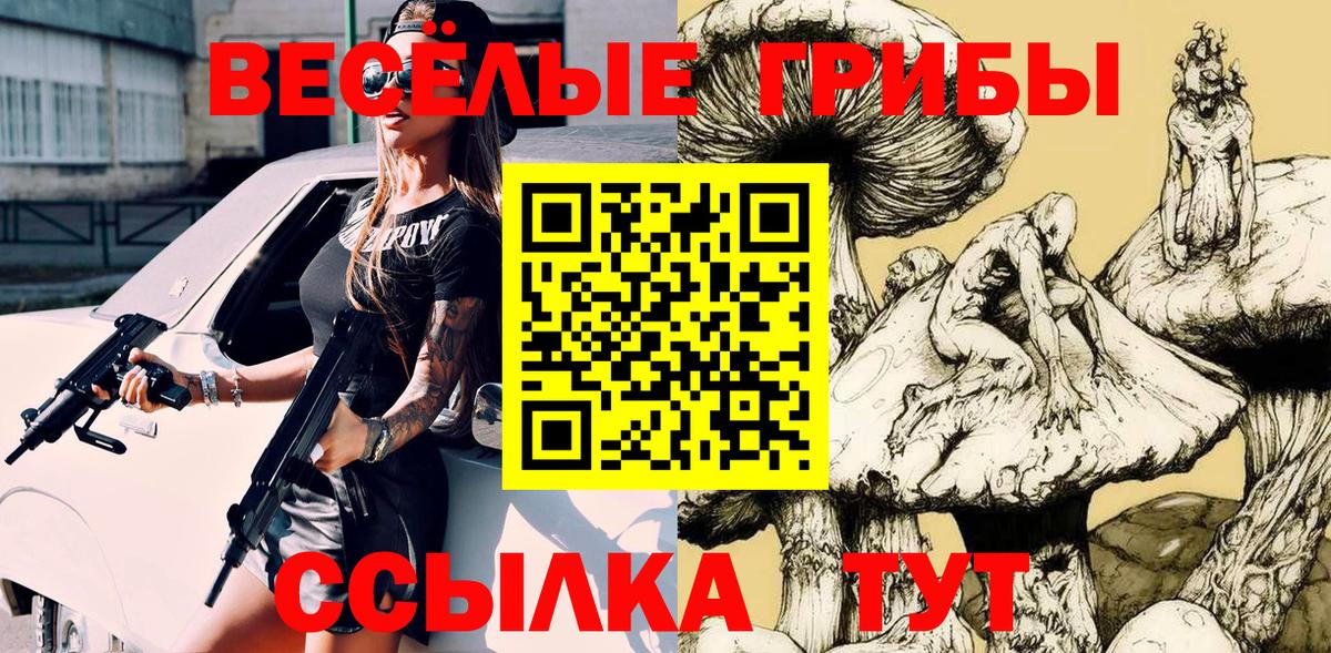 Псилоцибиновые грибы Psilocybe  Вход с VPN  Смоленск  Псилоцибиновые грибы Cubensis 